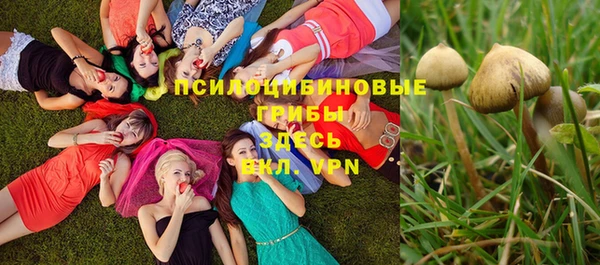 mix Зерноград