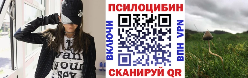 Купить  Барнаул  Галлюциногенные грибы Magic Shrooms 